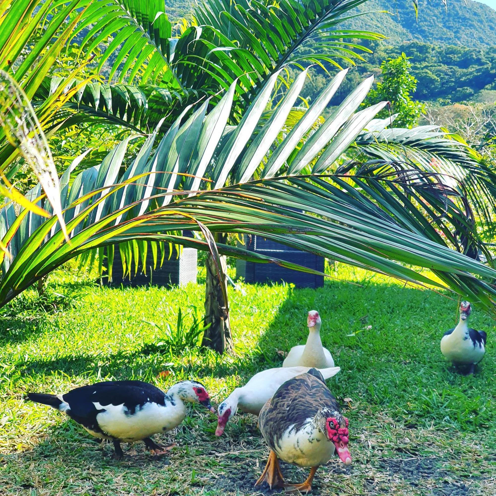Camping Le Chalet, La Petite Ferme Vieux Grand Port